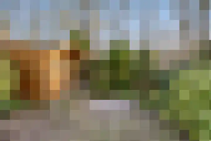 Amelterhout 112 Assen thumbnail 31