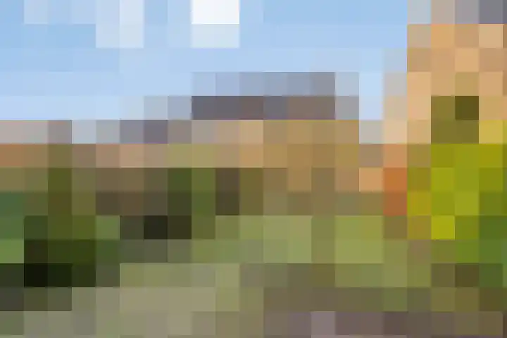 Amelterhout 112 Assen thumbnail 32