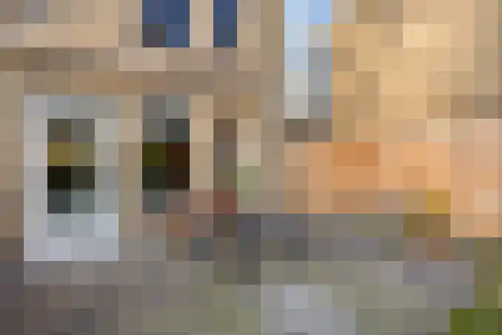 Amelterhout 112 Assen thumbnail 33