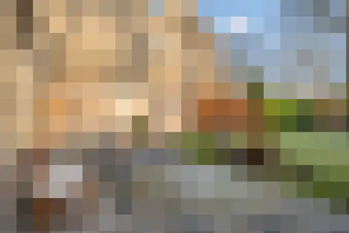Amelterhout 112 Assen thumbnail 34
