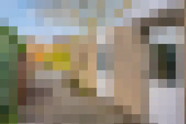 Amelterhout 112 Assen thumbnail 36