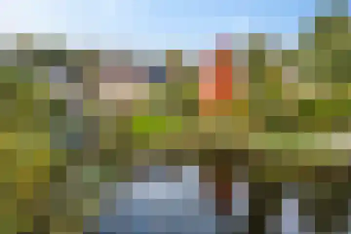 Amelterhout 34 in Assen