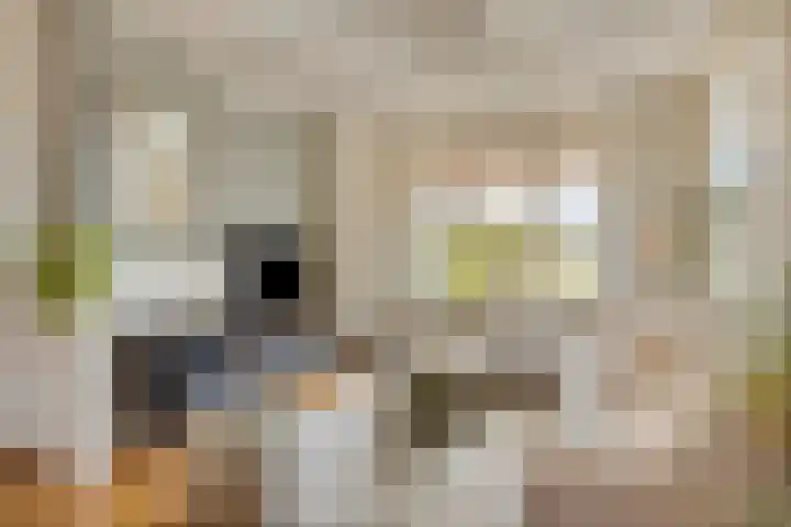 Amelterhout 37 in Assen