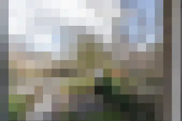 Amelterhout 37 Assen thumbnail 36