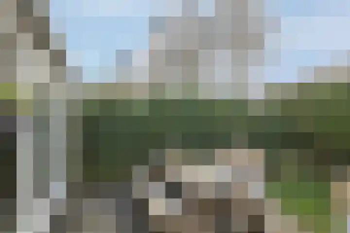 Amelterhout 37 Assen thumbnail 47