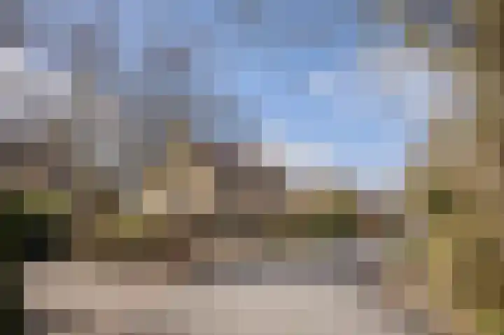 Amelterhout 37 Assen thumbnail 6
