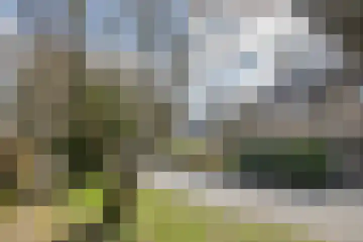 Amelterhout 37 Assen thumbnail 7