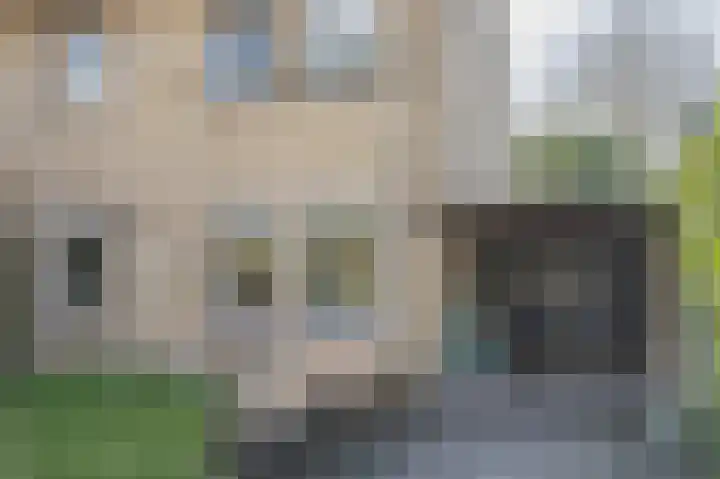 Amelterhout 37 Assen thumbnail 8