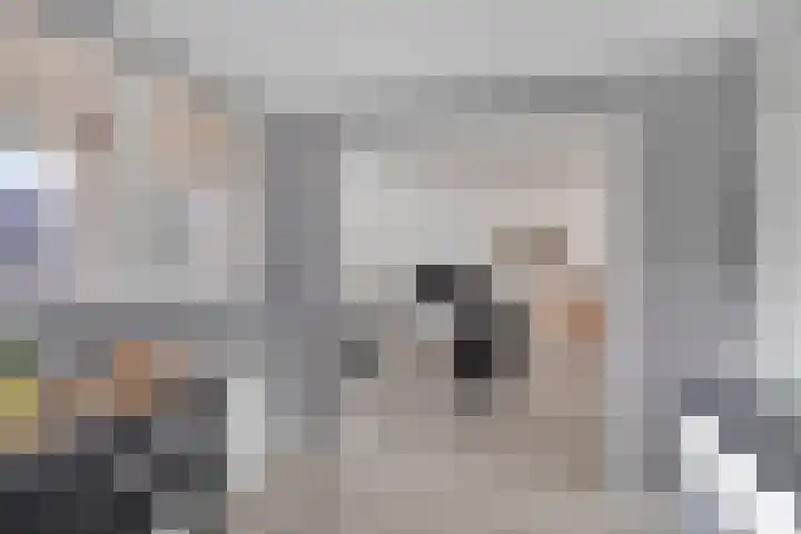 Amer 32 Veldhoven thumbnail 13