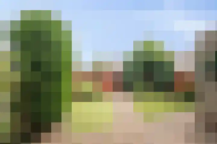 Amer 8 Helmond thumbnail 33