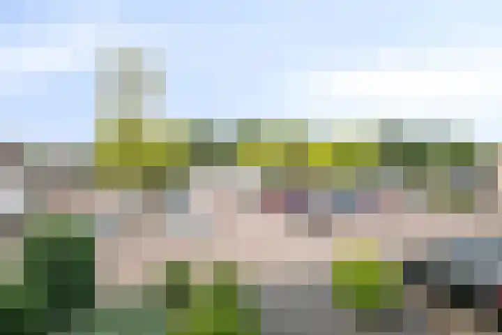 Amer 8 Helmond thumbnail 39