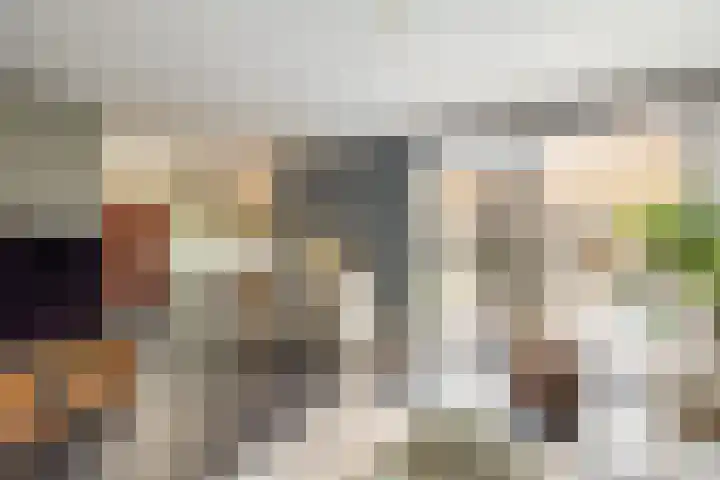 Amer 82 Brielle thumbnail 15