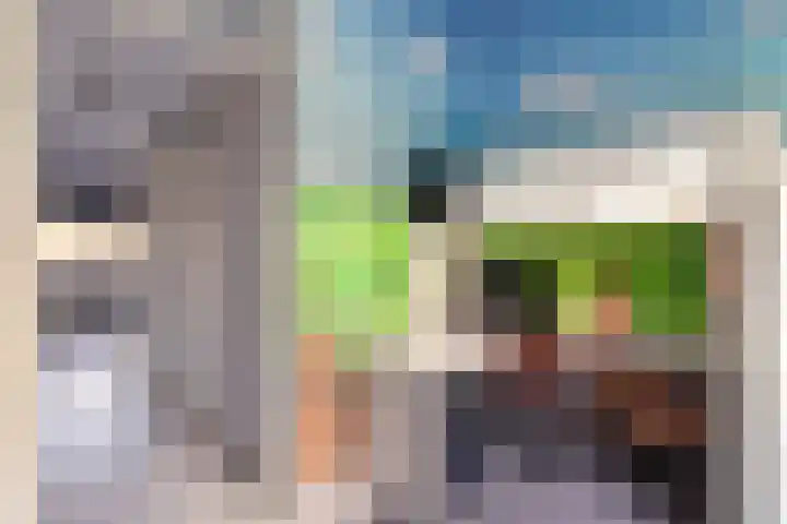 Amer 82 Brielle thumbnail 24