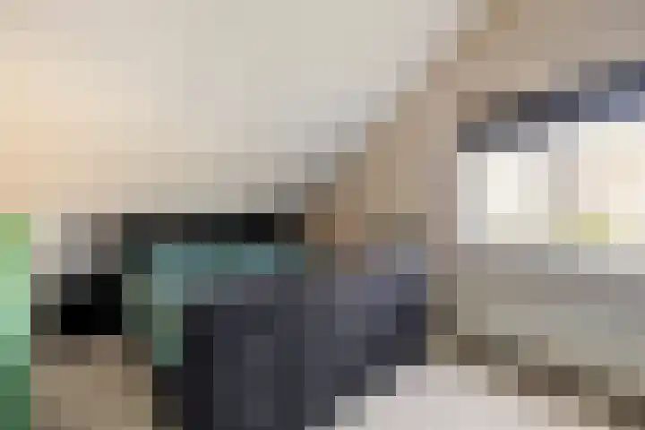 Amer 82 Brielle thumbnail 26
