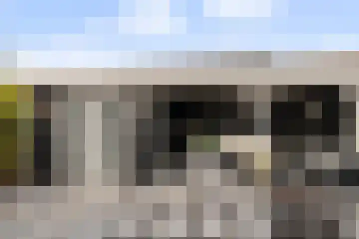 Amer 82 Brielle thumbnail 35