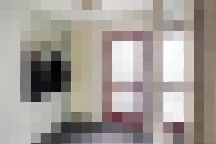 Amer 82 Brielle thumbnail 7