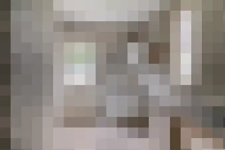 Amer 90 a Deurne thumbnail 19