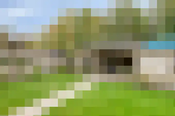 Amer 90 a Deurne thumbnail 23