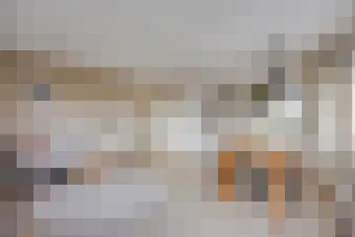 Amer 98 Brielle thumbnail 10