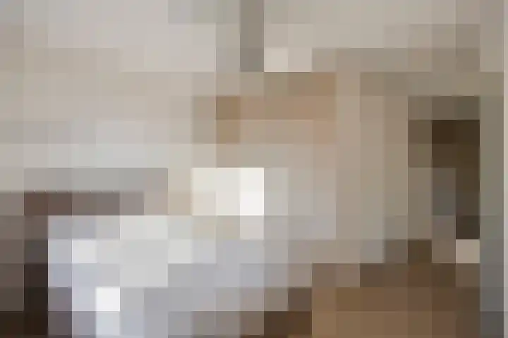 Amer 98 Brielle thumbnail 13