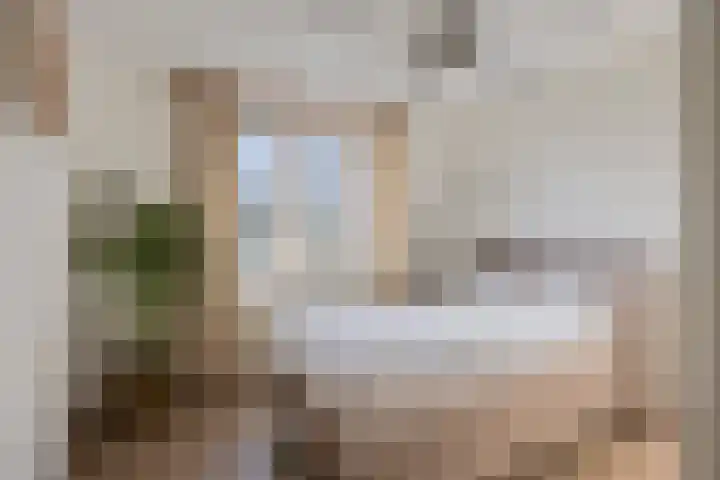 Amer 98 Brielle thumbnail 14