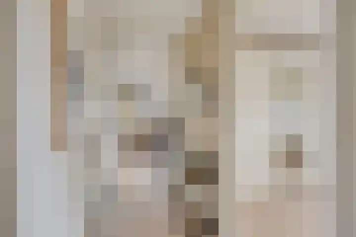 Amer 98 Brielle thumbnail 7