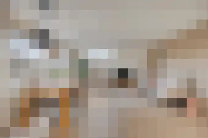 Amer 98 Brielle thumbnail 9