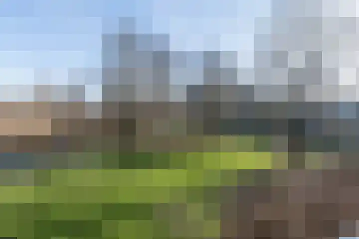 Amerbos 172 Amsterdam thumbnail 22
