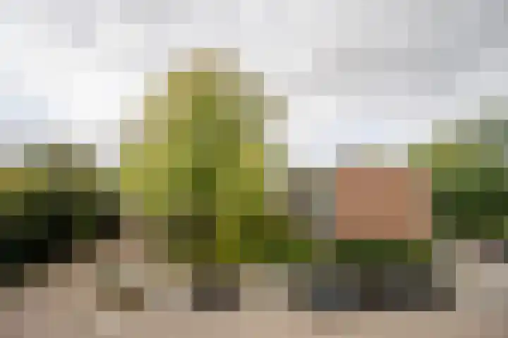 Amerbos 36 Amsterdam thumbnail 37