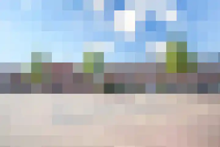Amerhof 110 Utrecht thumbnail 31