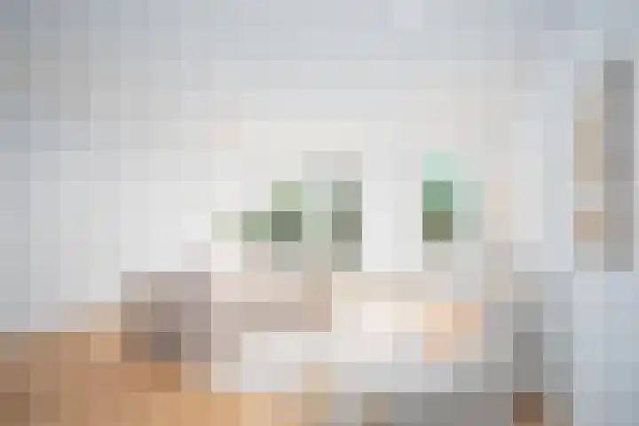 Amerhof 110 Utrecht thumbnail 6