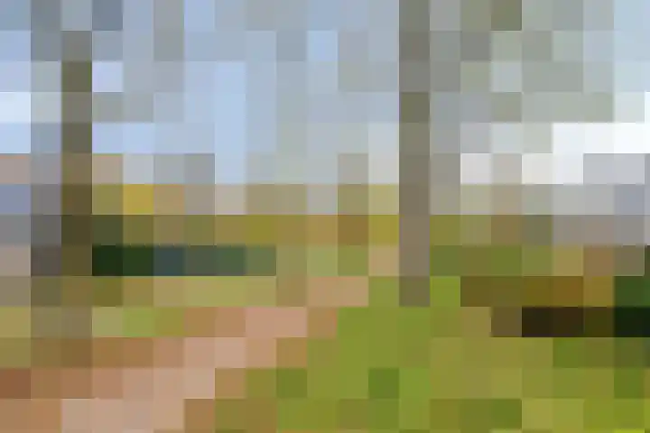 Amerhof 39 Almere thumbnail 28