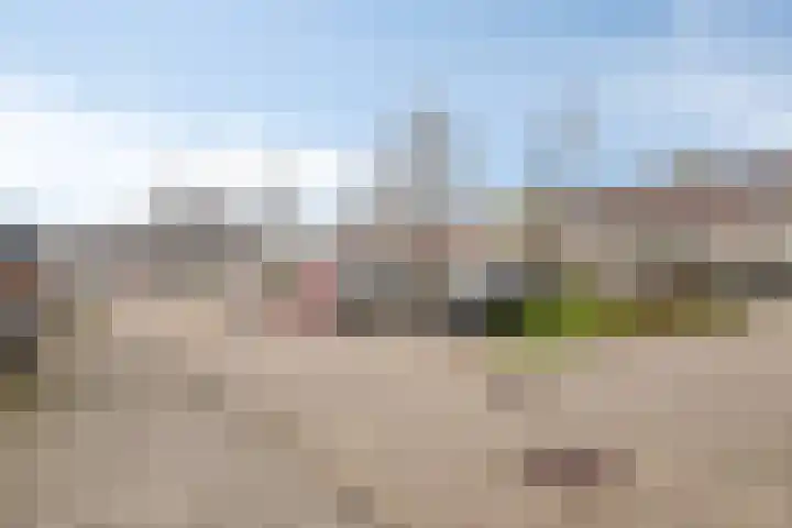 Amerhof 39 Almere thumbnail 31