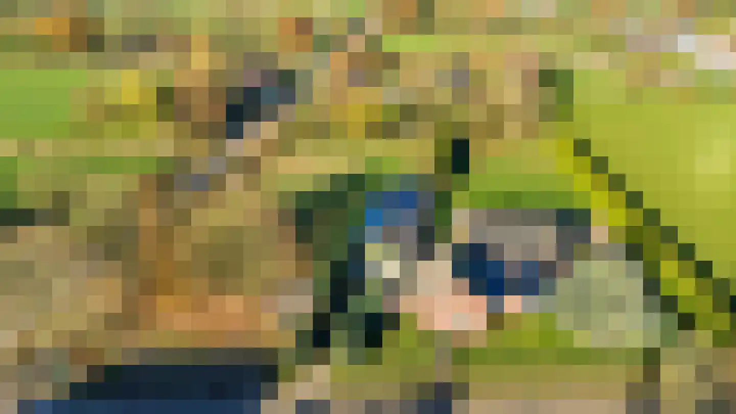 Americaanseweg 108 Meterik