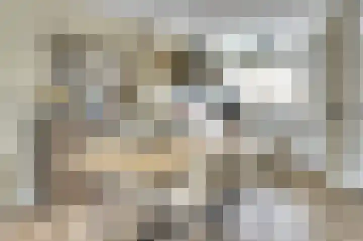 Amerikalaan 26 Drunen thumbnail 11