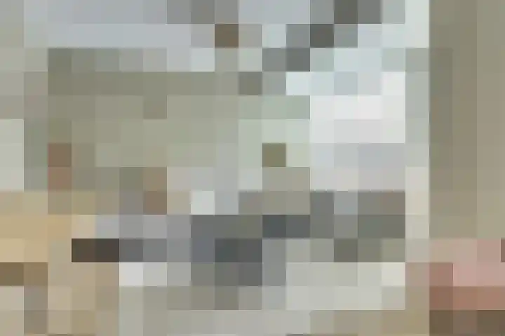 Amerikalaan 26 Drunen thumbnail 15