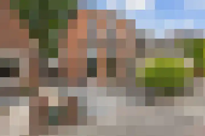 Amerikalaan 26 Drunen thumbnail 21