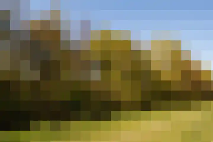 Amerikalaan 26 Drunen thumbnail 24