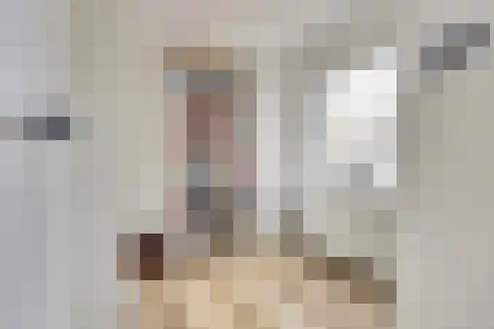 Amerikalaan 26 Drunen thumbnail 25
