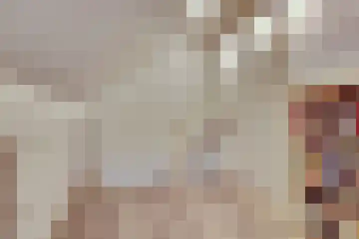 Amerikalaan 26 Drunen thumbnail 30