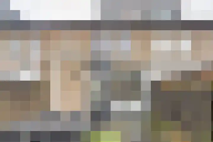 Amerikalaan 26 Drunen thumbnail 37