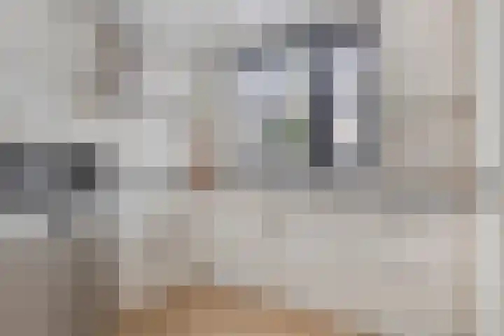 Amerikalaan 30 Drunen thumbnail 10