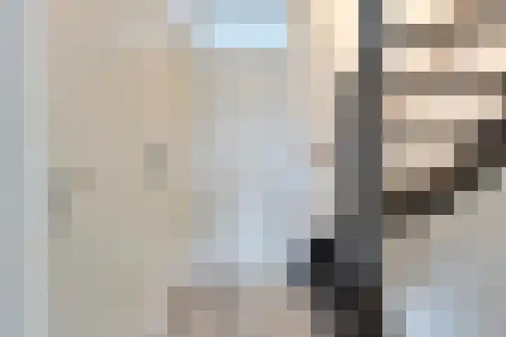 Amerikalaan 30 Drunen thumbnail 11