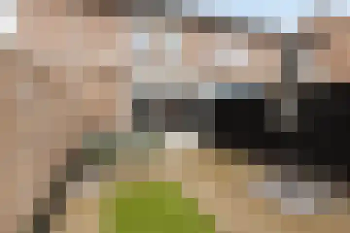 Amerikalaan 30 Drunen foto 2