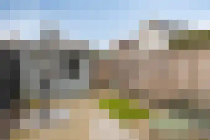 Amerikalaan 30 Drunen thumbnail 21