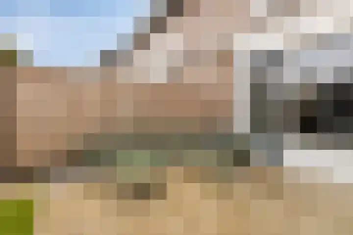 Amerikalaan 30 Drunen thumbnail 22