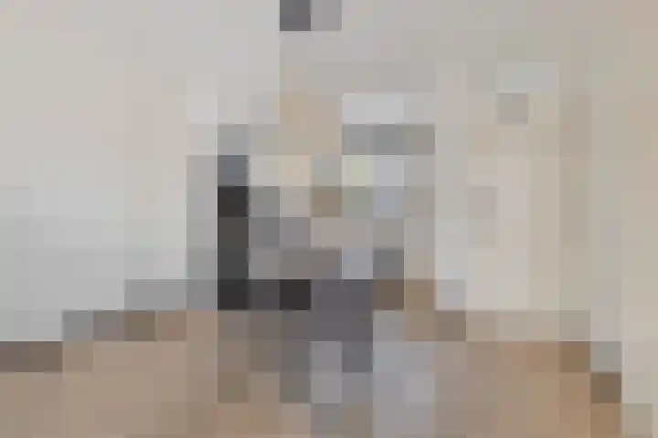 Amerikalaan 30 Drunen thumbnail 4
