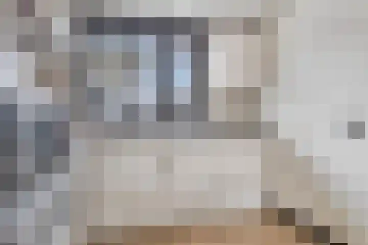 Amerikalaan 30 Drunen thumbnail 9