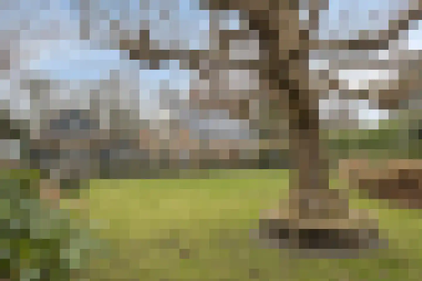 Ameroever 64 dans Lage Zwaluwe