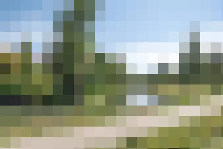 Amersfoortweg 3 Almere thumbnail 30